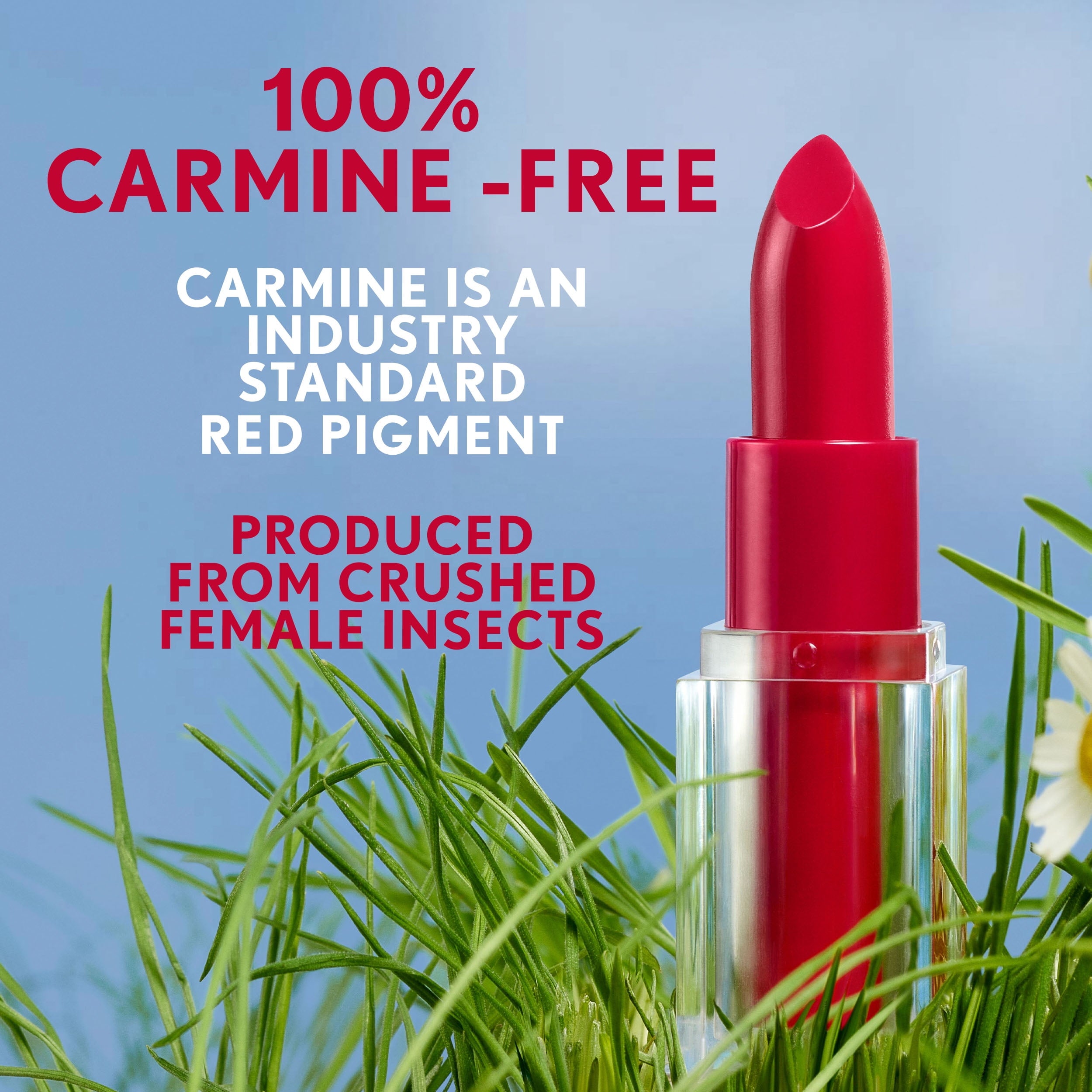 COVERGIRL Clean Lip Color, 260 Darling Kiss, 0.12 oz