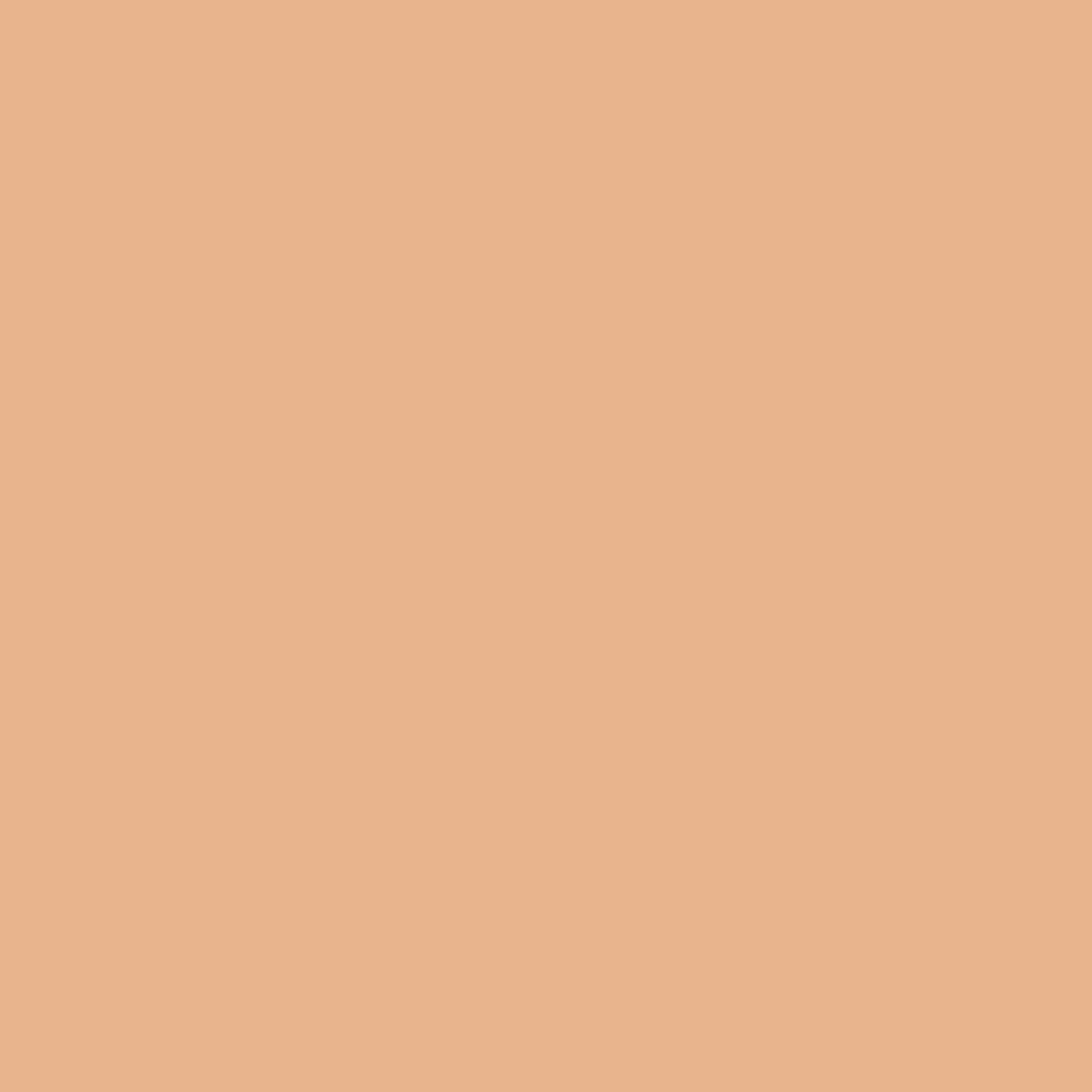 (3 pack) COVERGIRL Clean Fresh Nourishing Skin Tint, Dewy Finish, Light/Medium, 1 fl oz (Packaging May Vary)